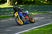 cadwell-no-limits-trackday;cadwell-park;cadwell-park-photographs;cadwell-trackday-photographs;enduro-digital-images;event-digital-images;eventdigitalimages;no-limits-trackdays;peter-wileman-photography;racing-digital-images;trackday-digital-images;trackday-photos